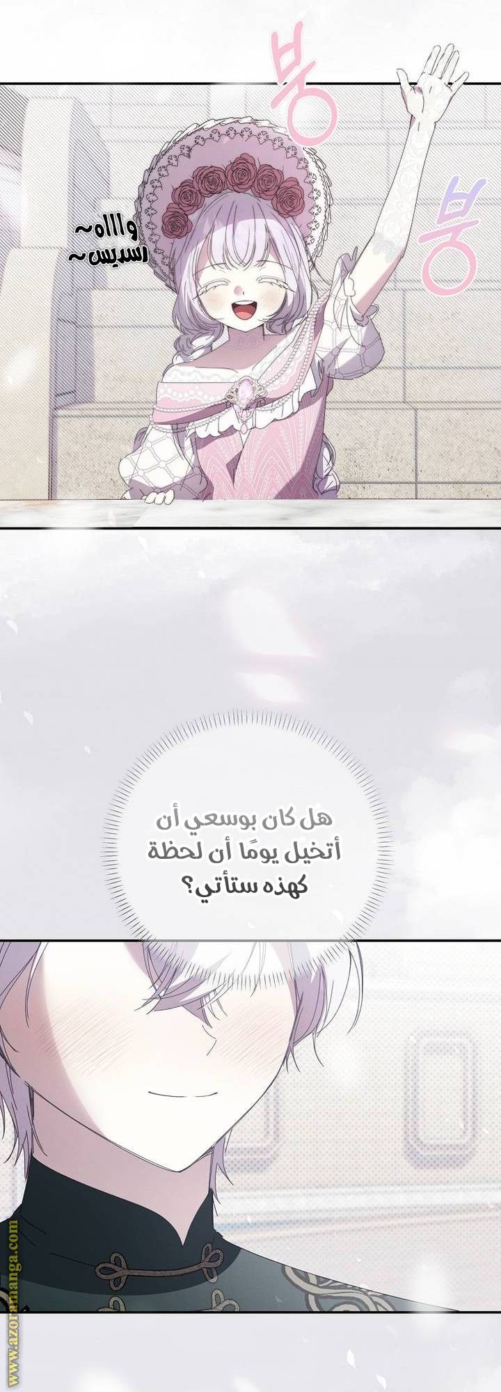 الصفحة 27