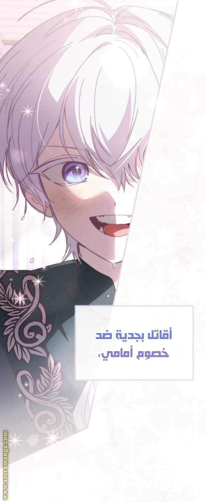 الصفحة 30