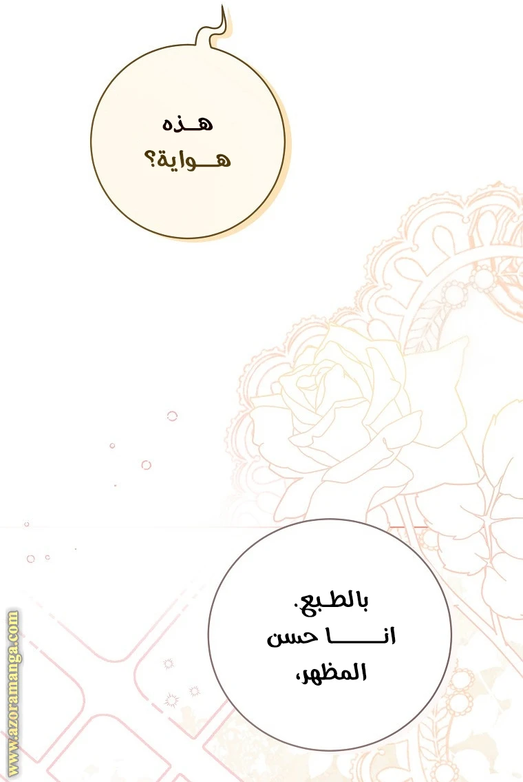 الصفحة 38