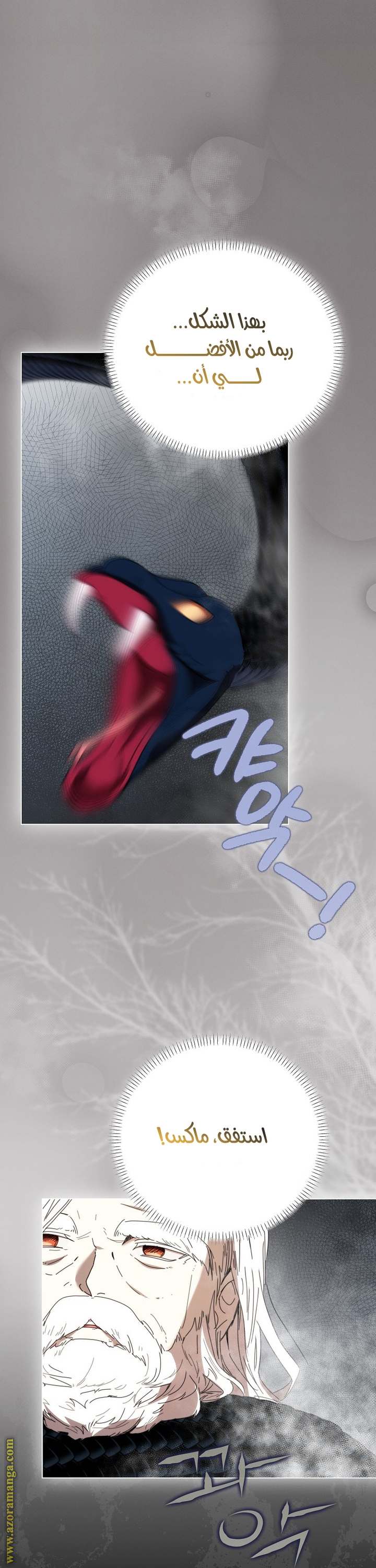 الصفحة 29