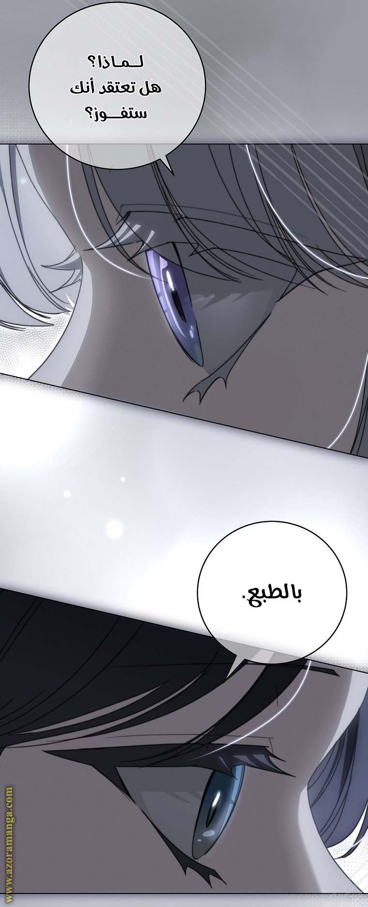 الصفحة 31