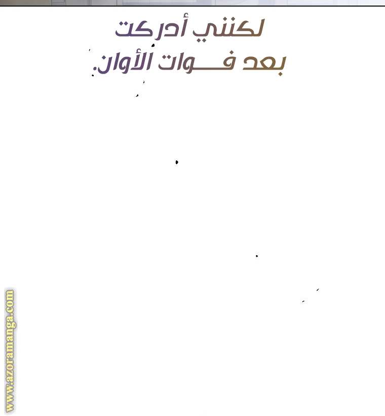 الصفحة 38