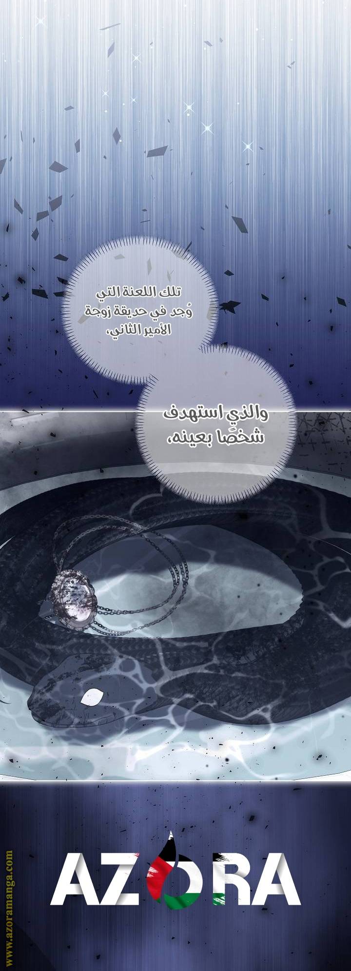 الصفحة 41