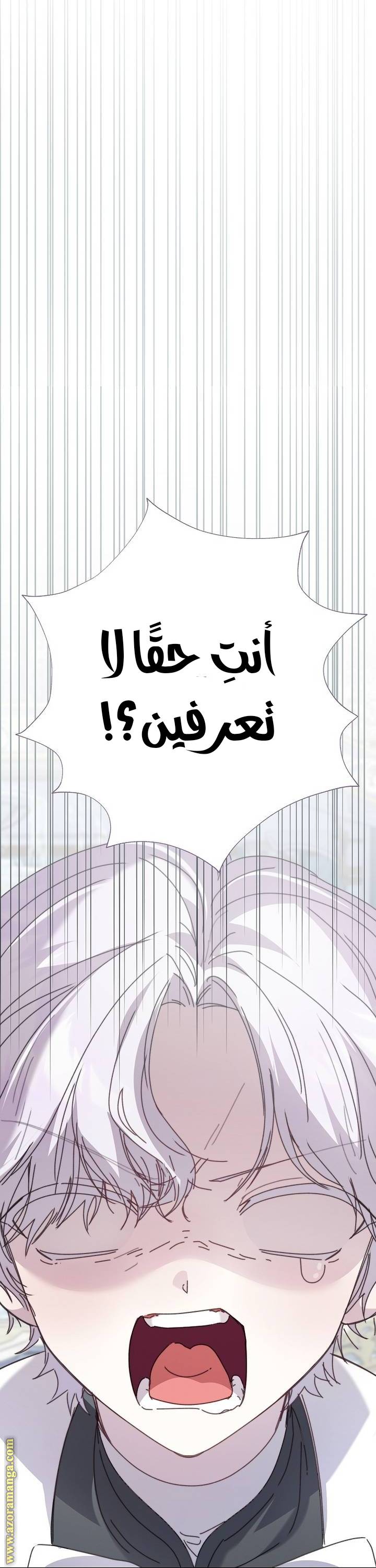 الصفحة 52