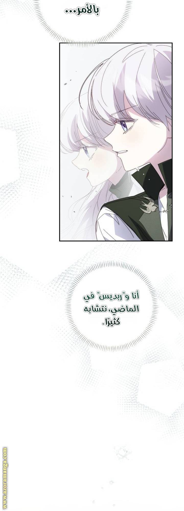 الصفحة 31