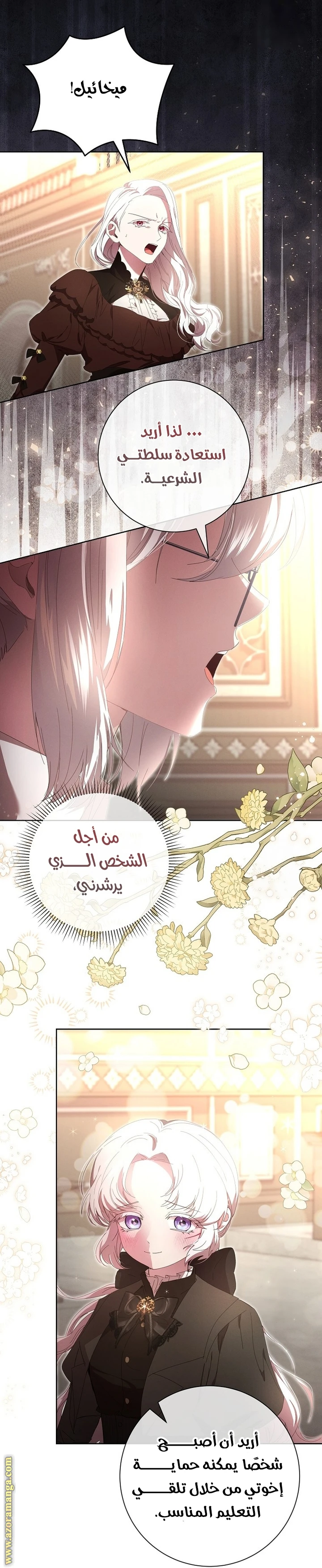 الصفحة 11