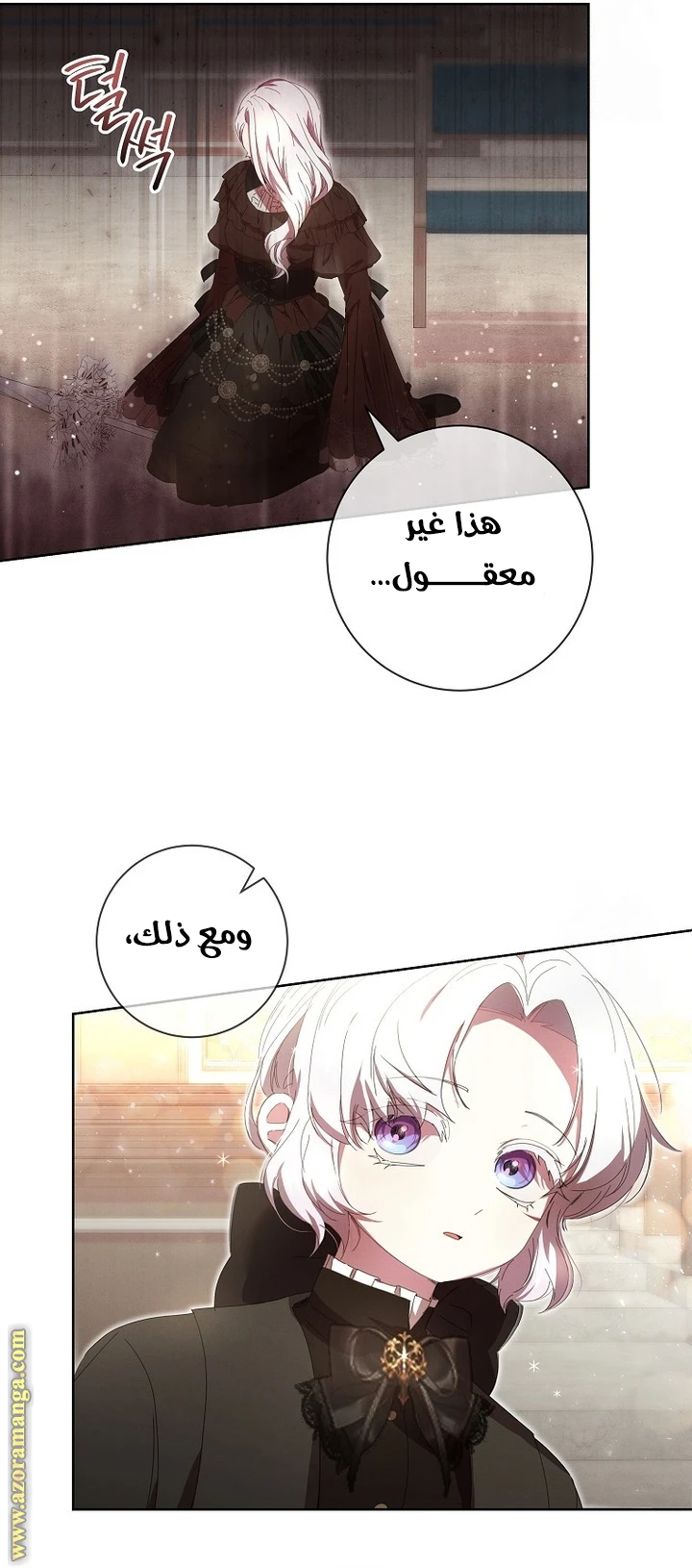 الصفحة 17