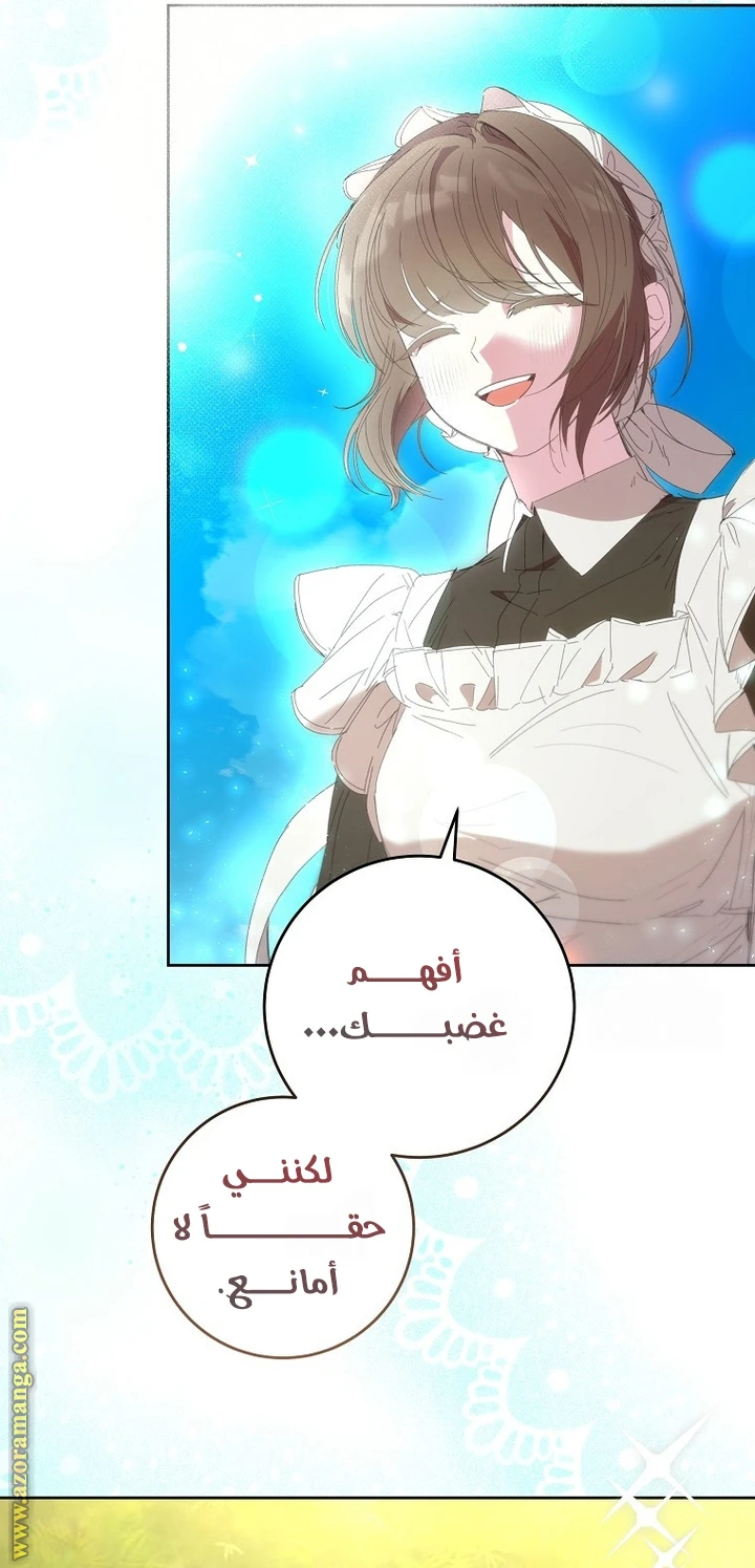 الصفحة 25