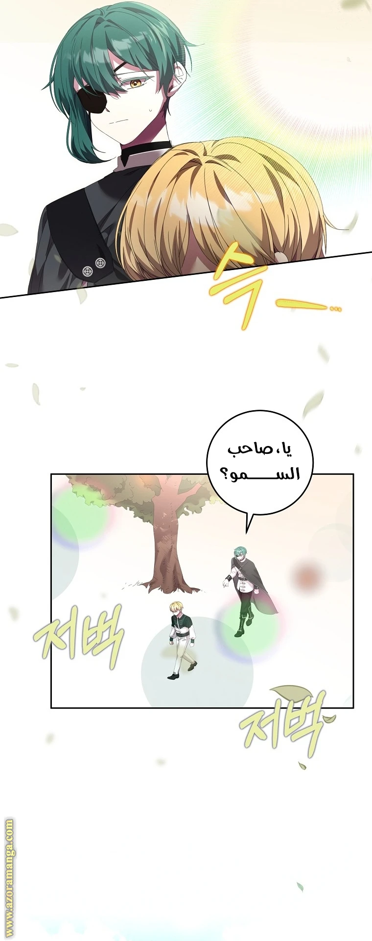 الصفحة 17