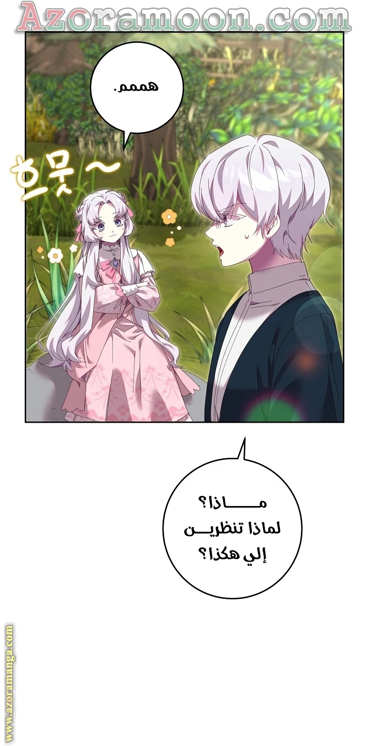 الصفحة 27