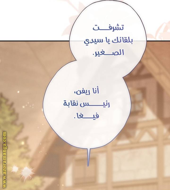الصفحة 25