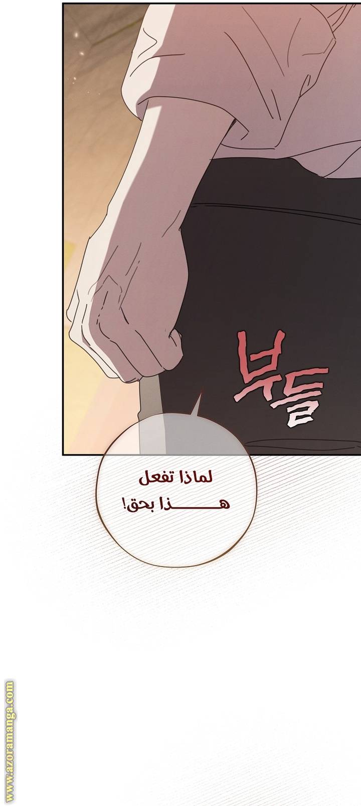 الصفحة 32