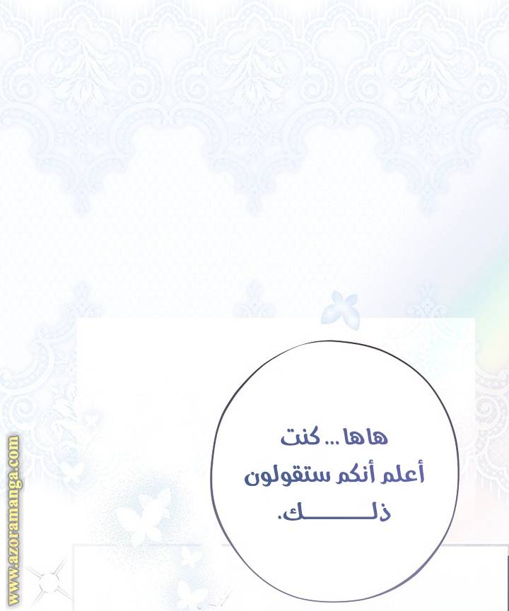 الصفحة 41