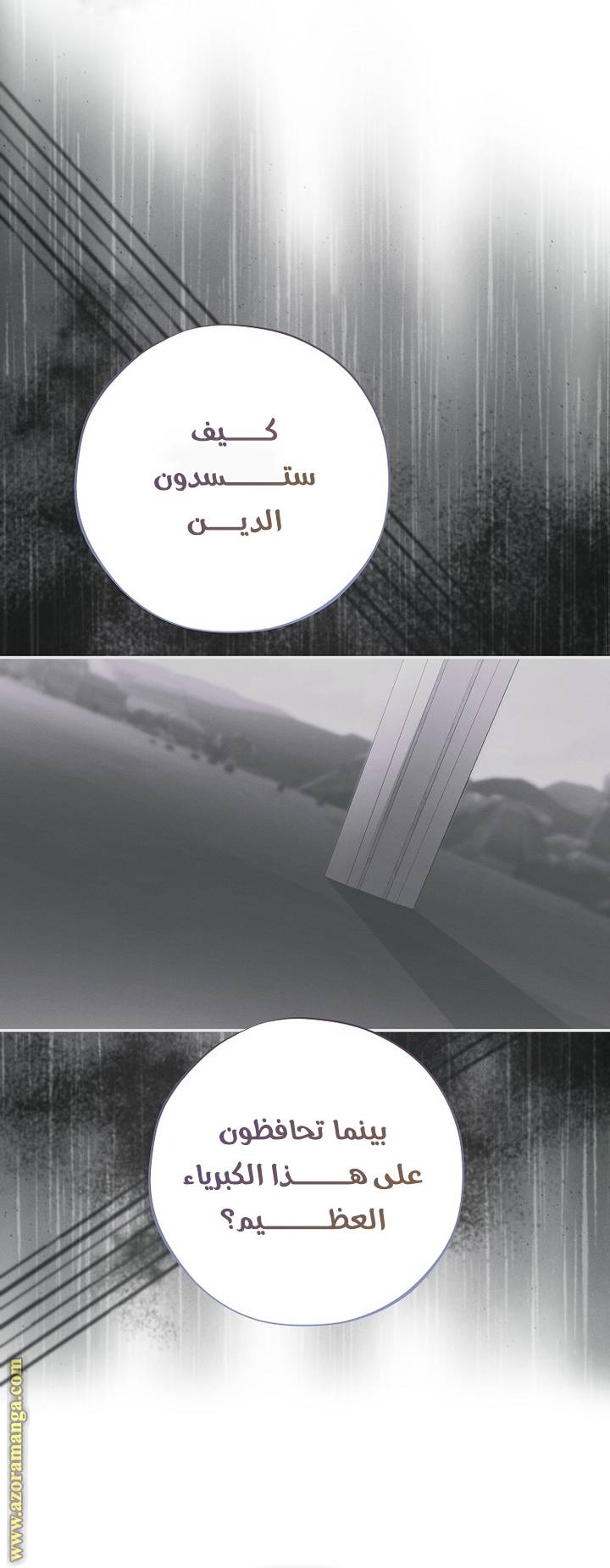 الصفحة 43