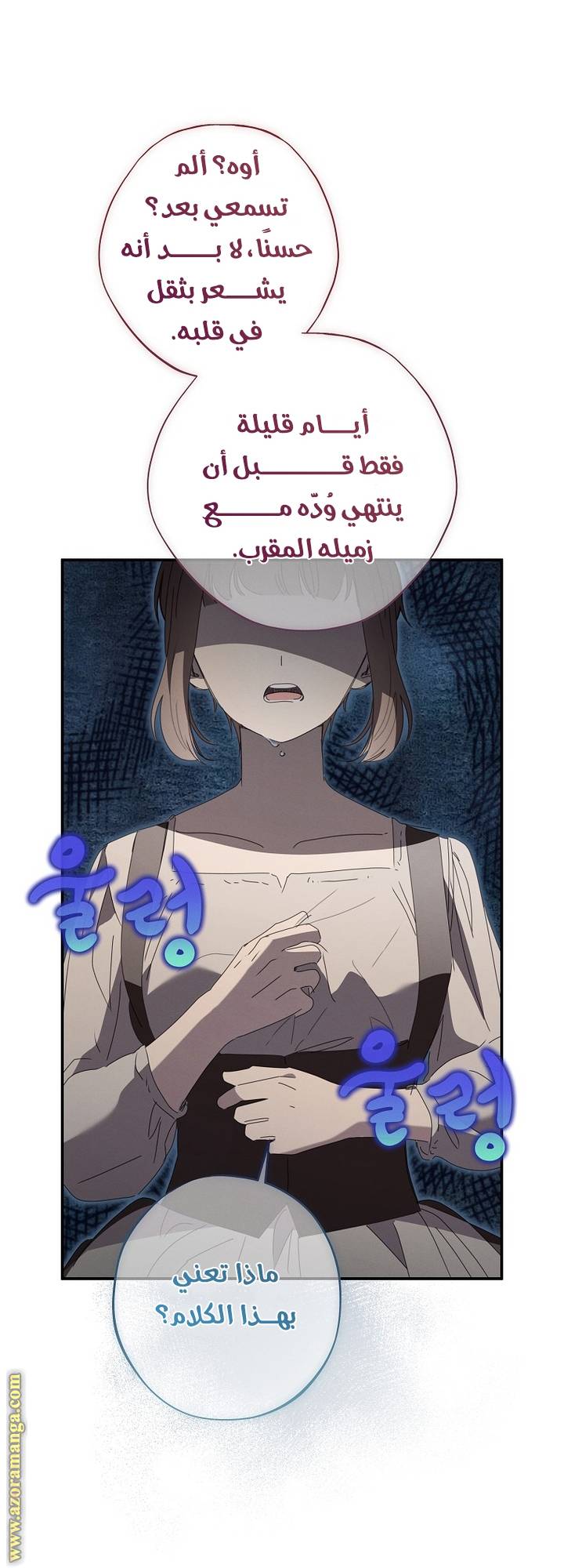الصفحة 52