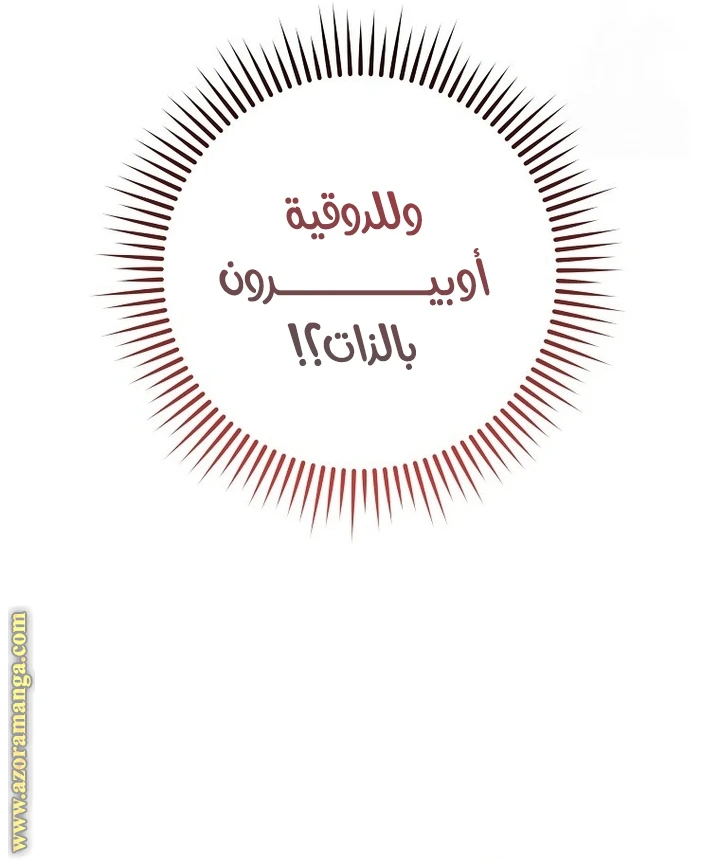 الصفحة 35