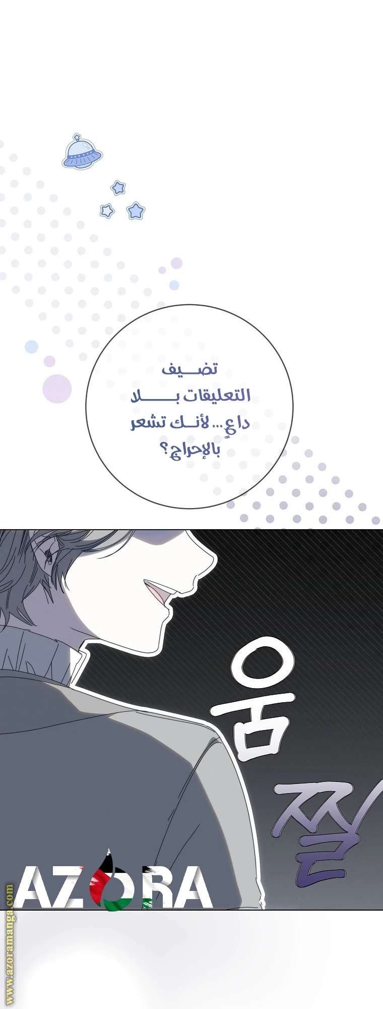 الصفحة 13