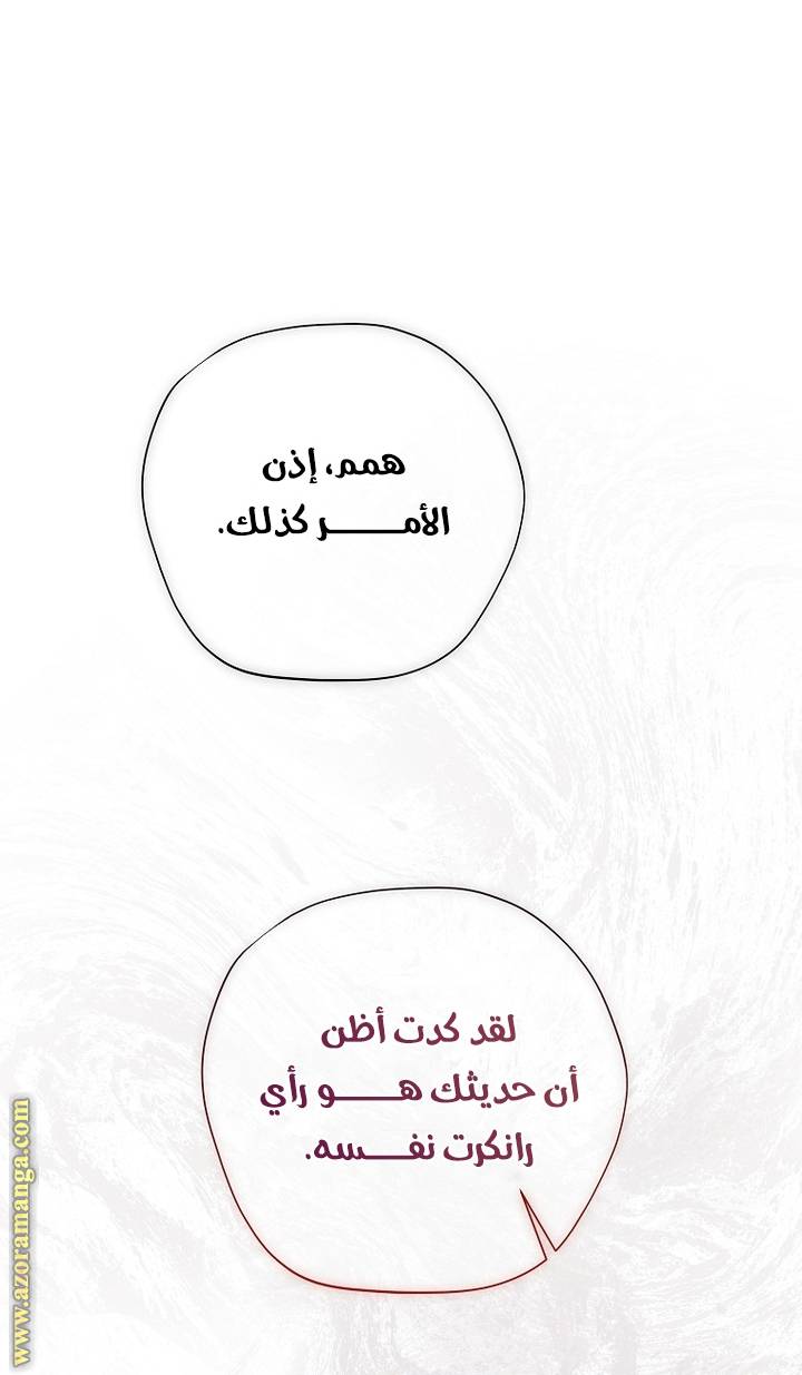 الصفحة 25