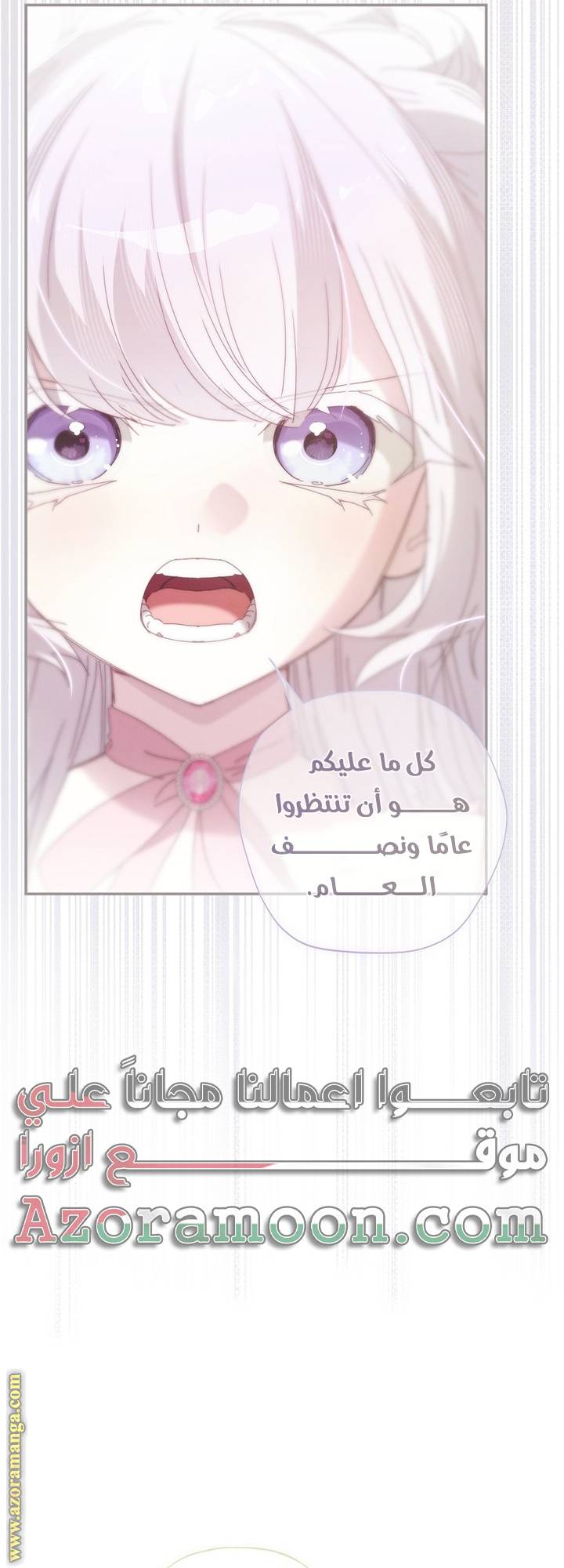الصفحة 31