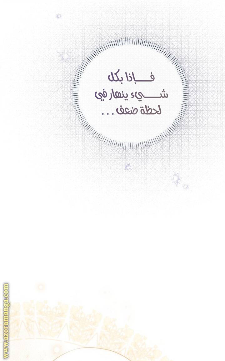 الصفحة 41