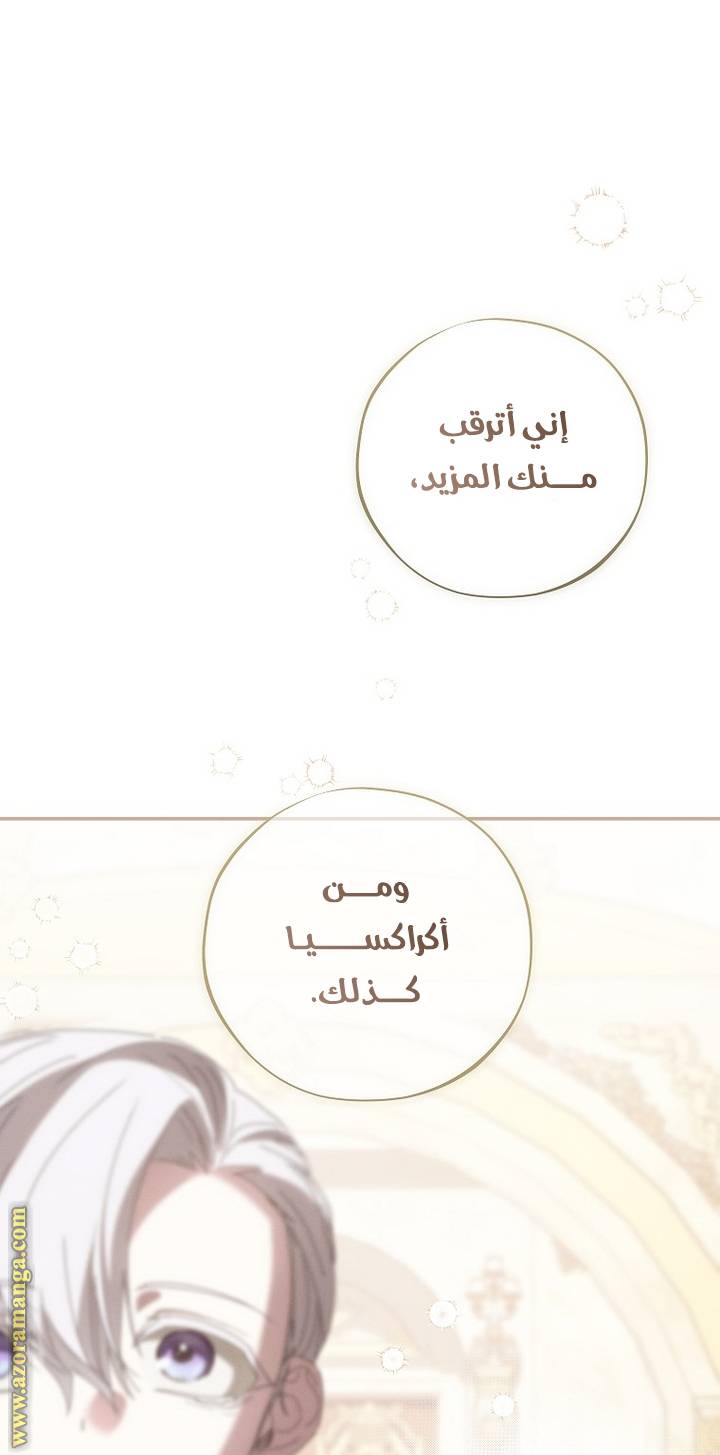 الصفحة 47