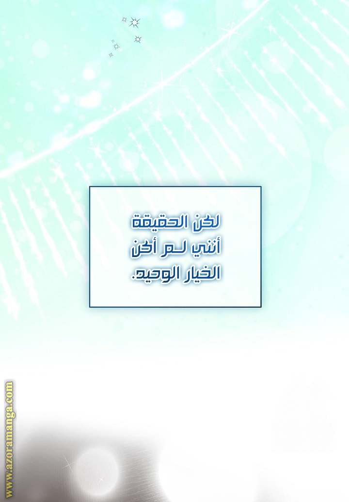 الصفحة 26