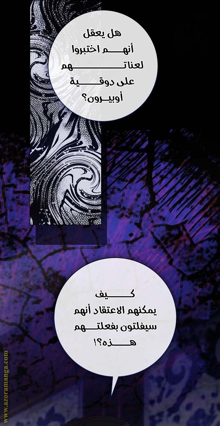 الصفحة 43