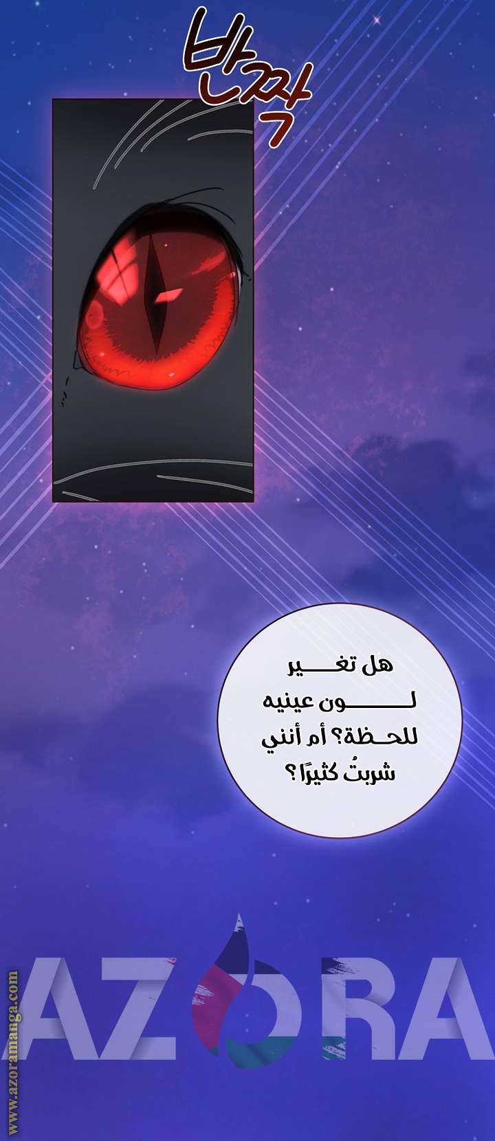الصفحة 61