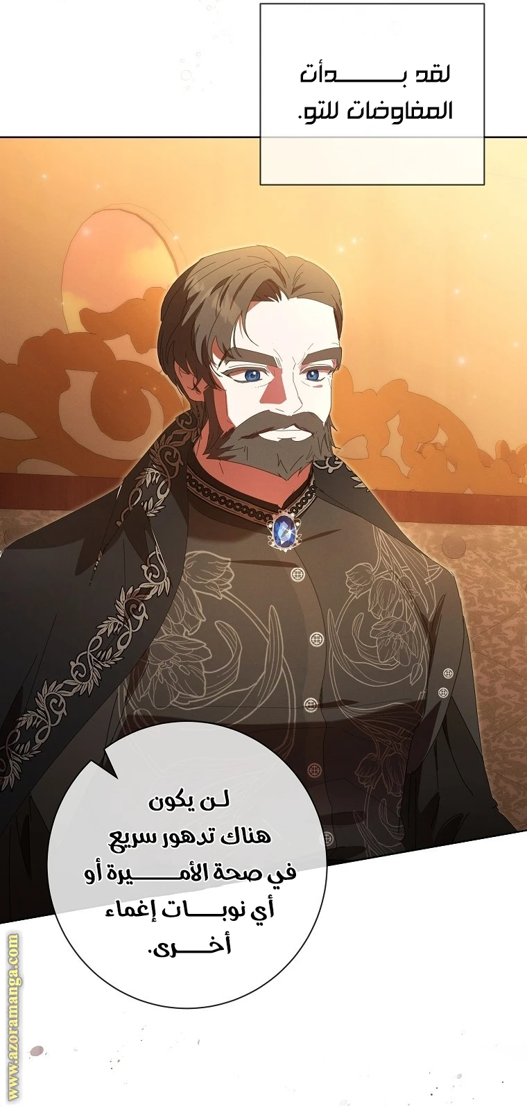 الصفحة 27
