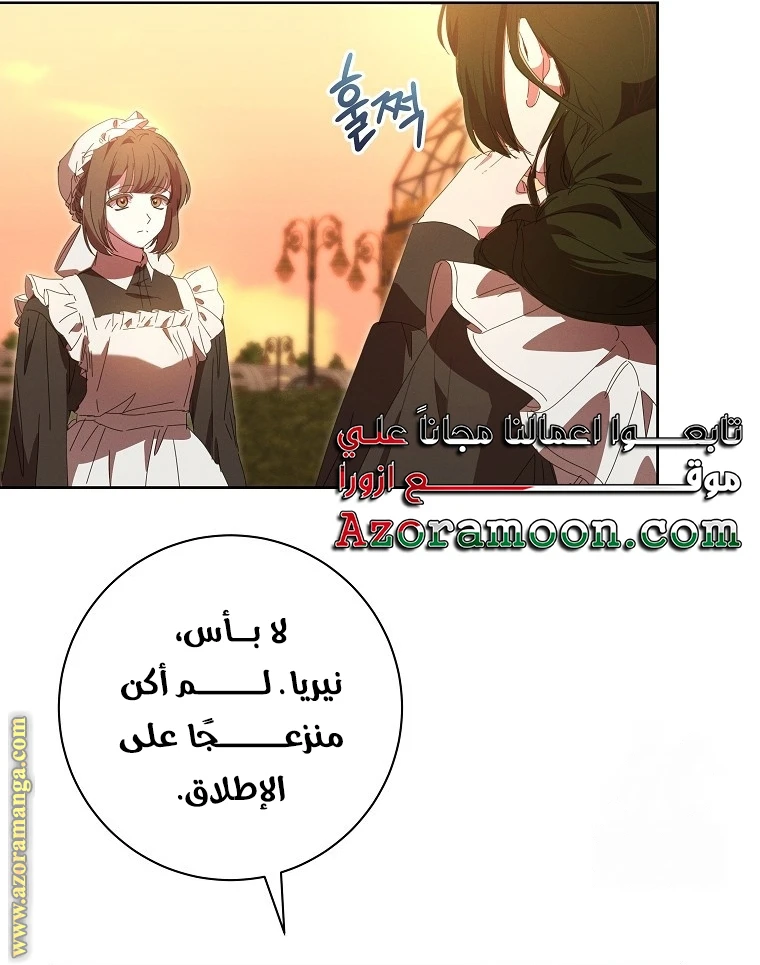 الصفحة 43