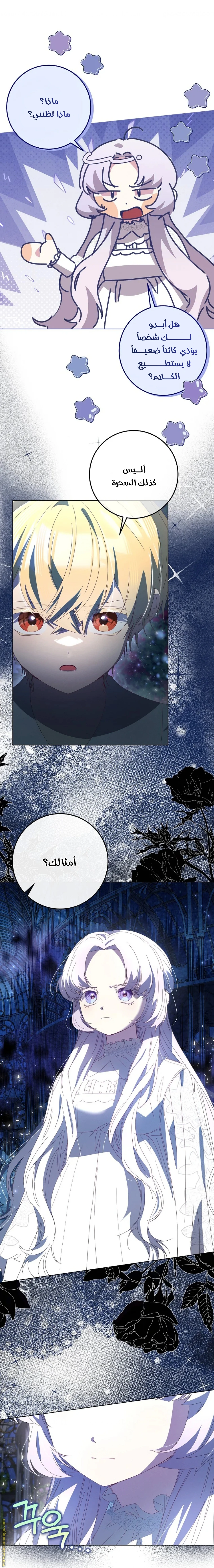 الصفحة 12