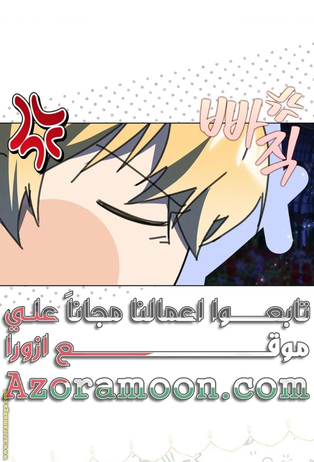 الصفحة 25