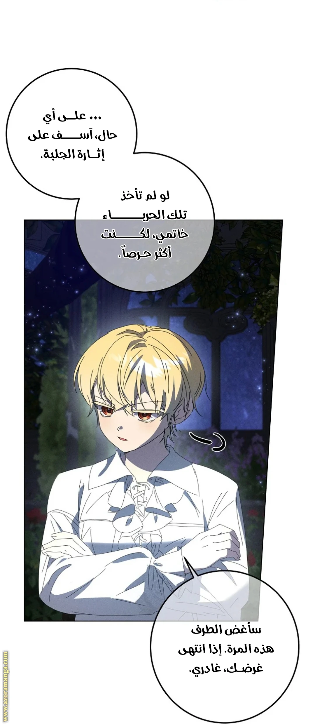 الصفحة 29