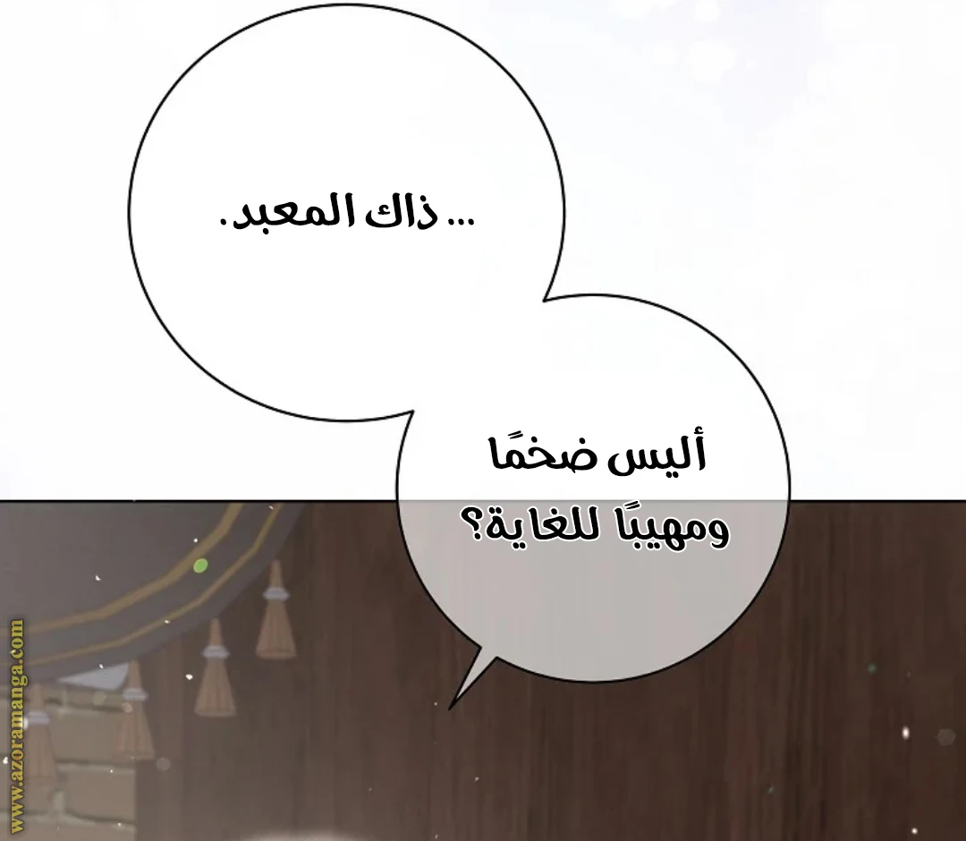 الصفحة 43