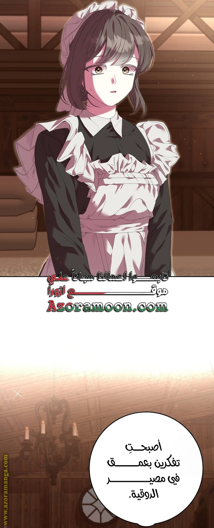 الصفحة 29