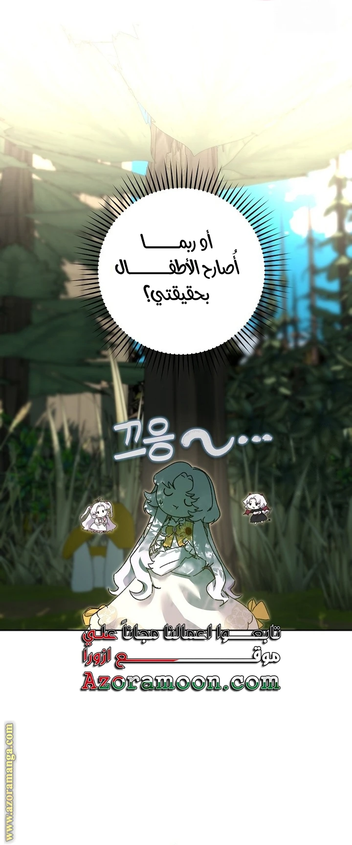 الصفحة 17
