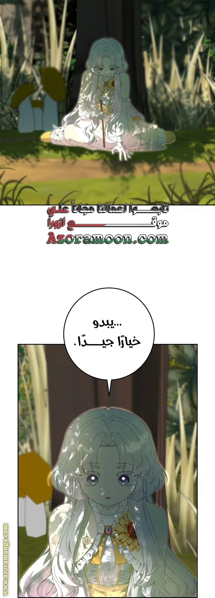 الصفحة 27