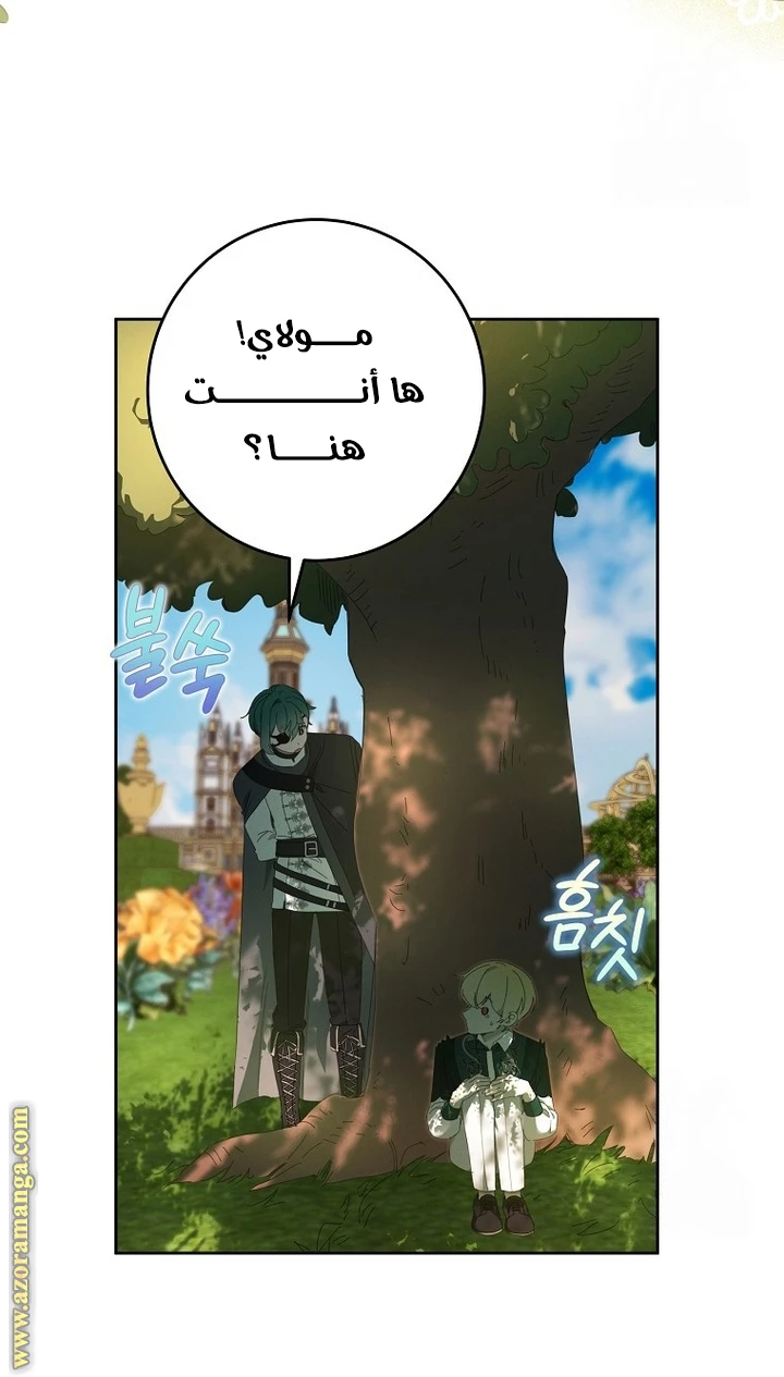 الصفحة 41