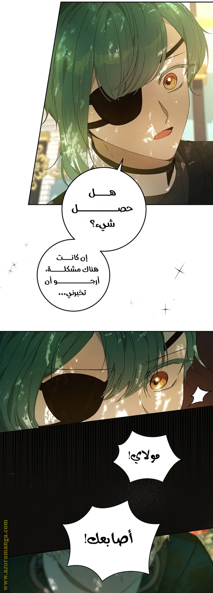 الصفحة 43