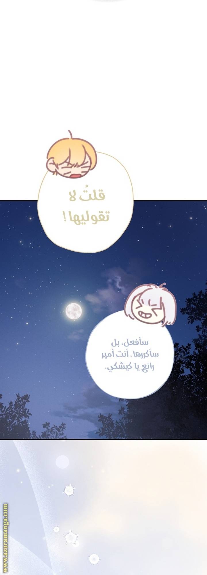 الصفحة 40