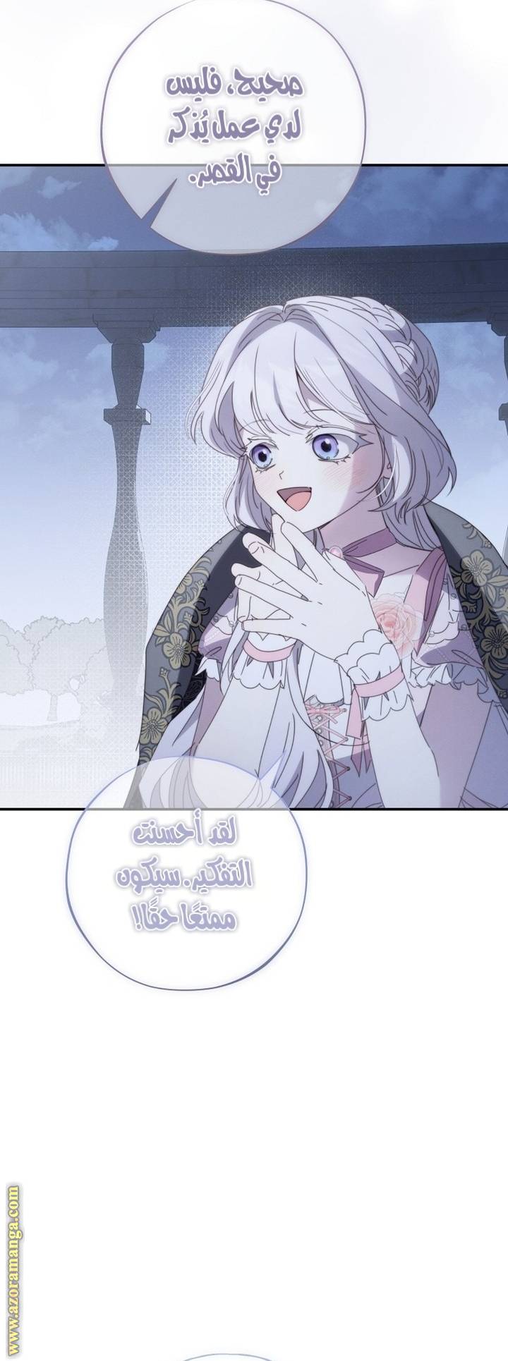 الصفحة 43