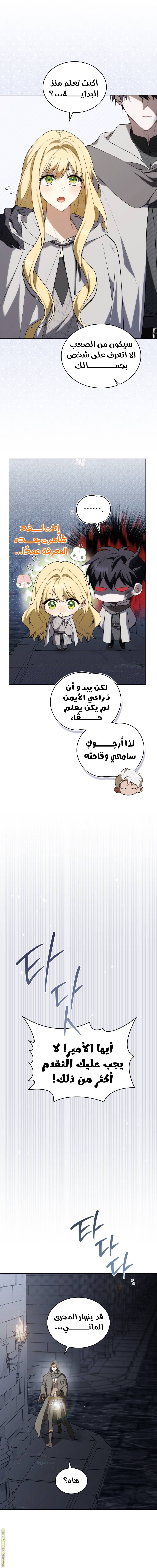 الصفحة 14