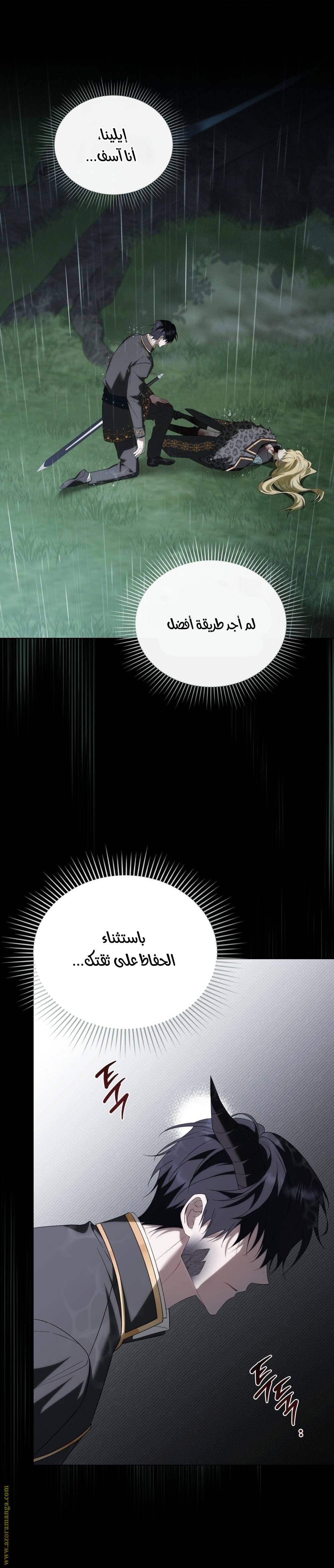 الصفحة 19