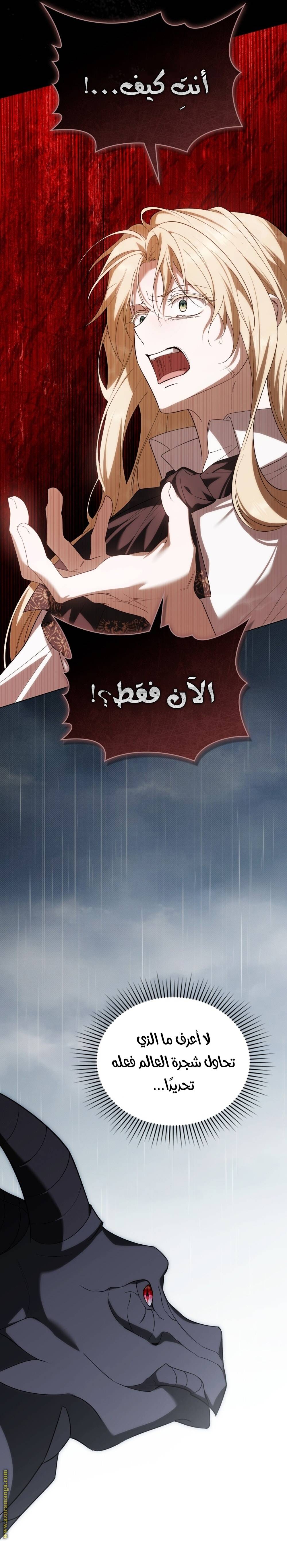 الصفحة 27
