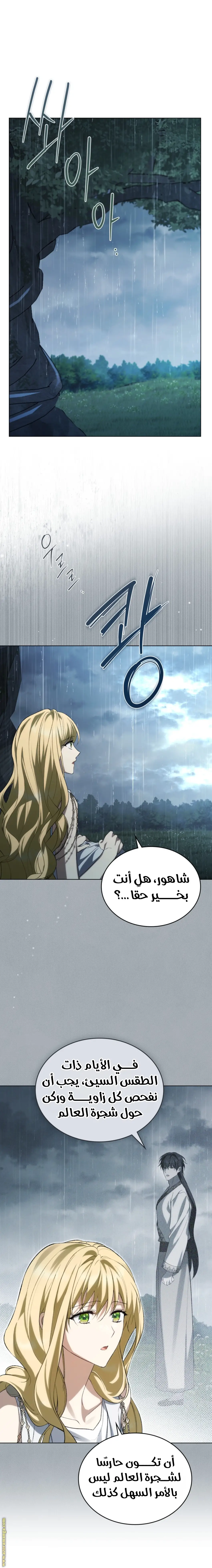 الصفحة 13