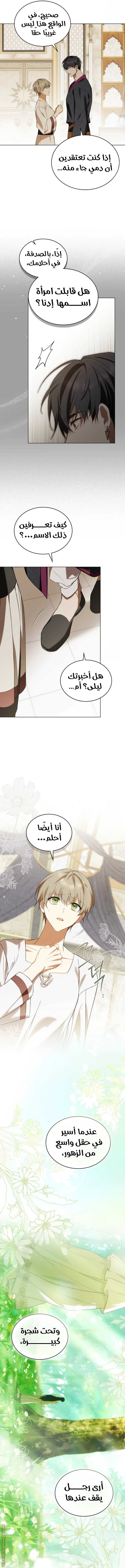 الصفحة 10
