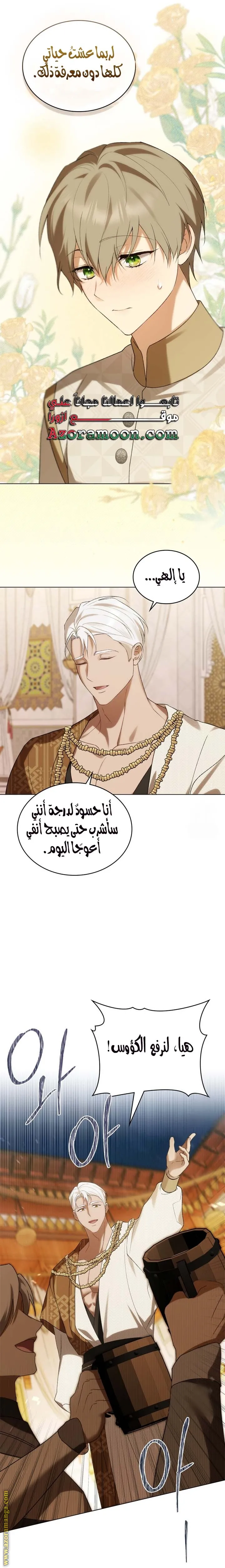 الصفحة 19