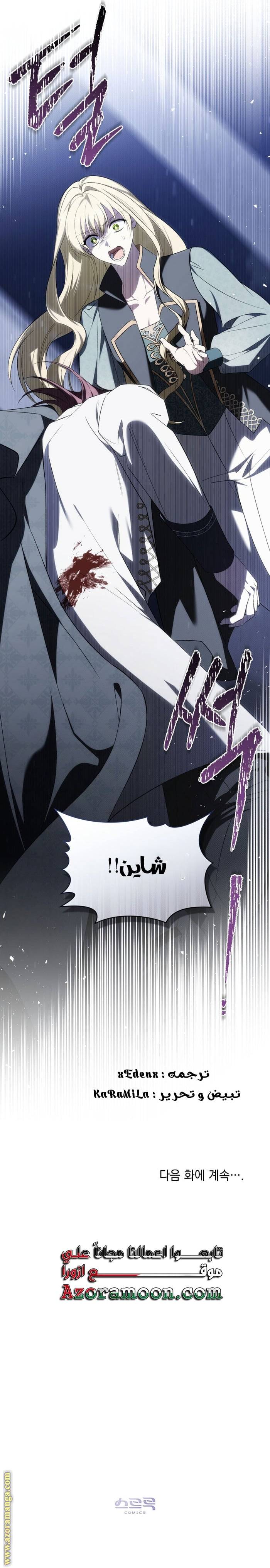 الصفحة 13