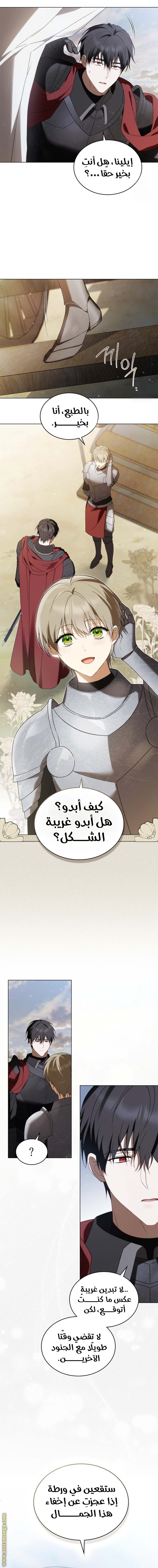 الصفحة 11