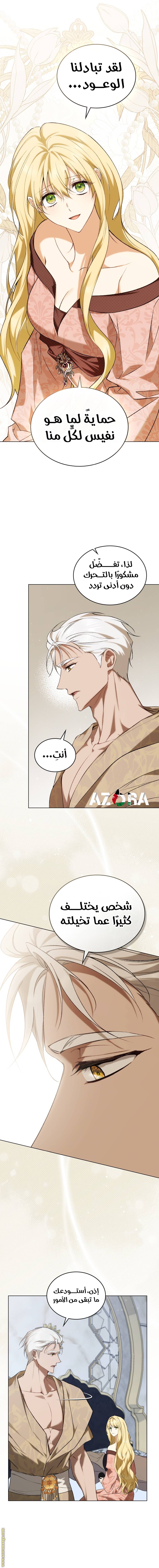 الصفحة 3